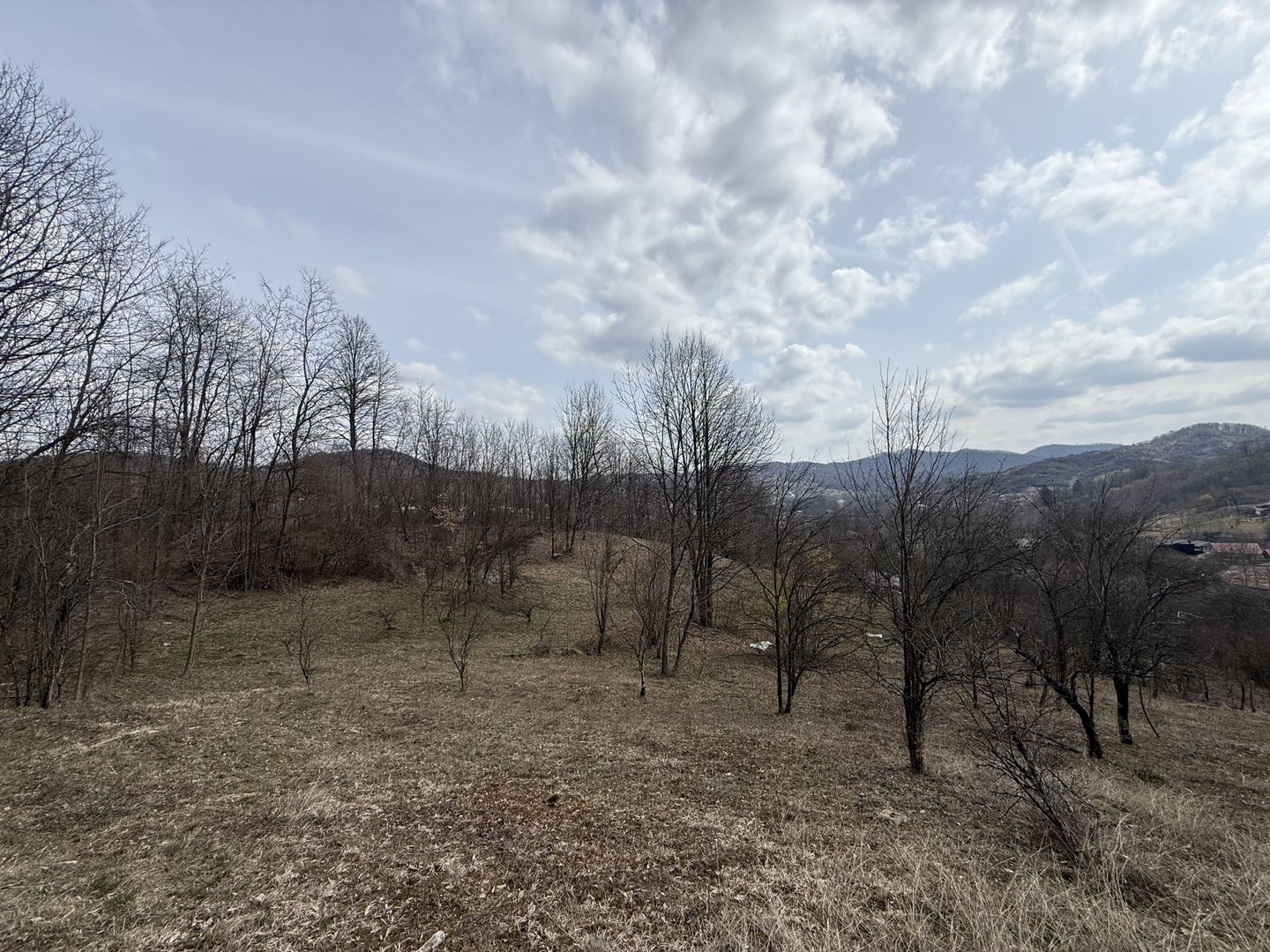 Teren 6040 mp la baza pădurii deschidere 40 ml - Poză 8