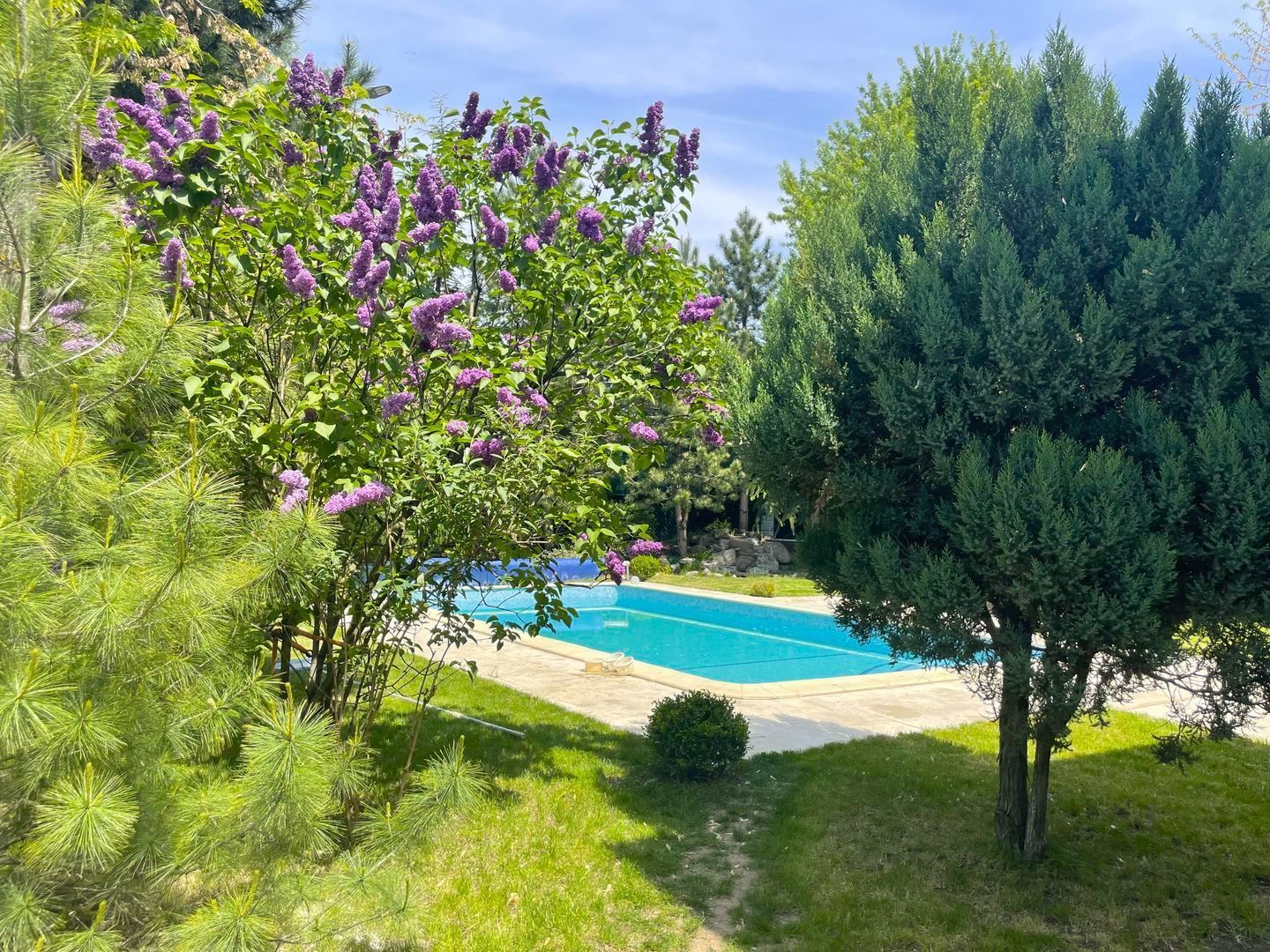 Eleganță în Vila de Excepție  |   Vila cu piscina încălzită - Poză 5