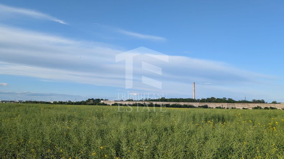 Teren de vanzare Domnești - Str. Narciselor - 20312mp - Poză 4