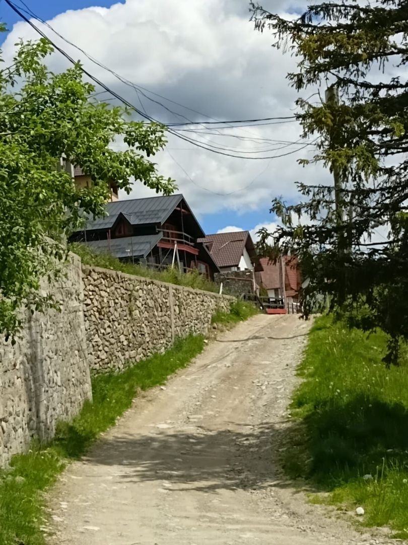 Cabană P+M de vânzare în Rânca - Poză 28