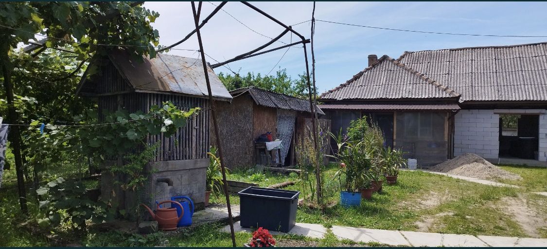 Casa si teren de vanzare - Poză 11