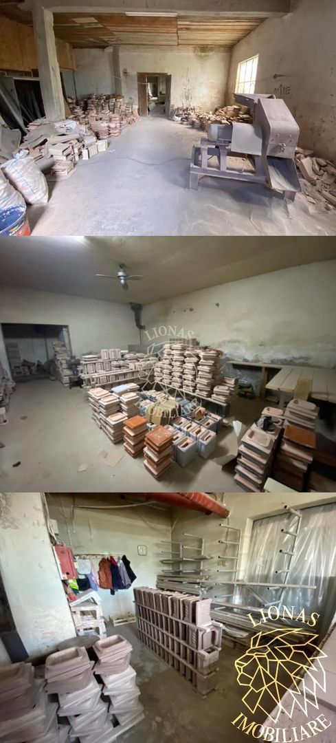 Business/Casa/Hala - 28 ari - Livezile- EXCLUSIVITATE - Poză 7