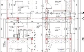 Casa individuala pe parter Mosnita Noua - Poză 9
