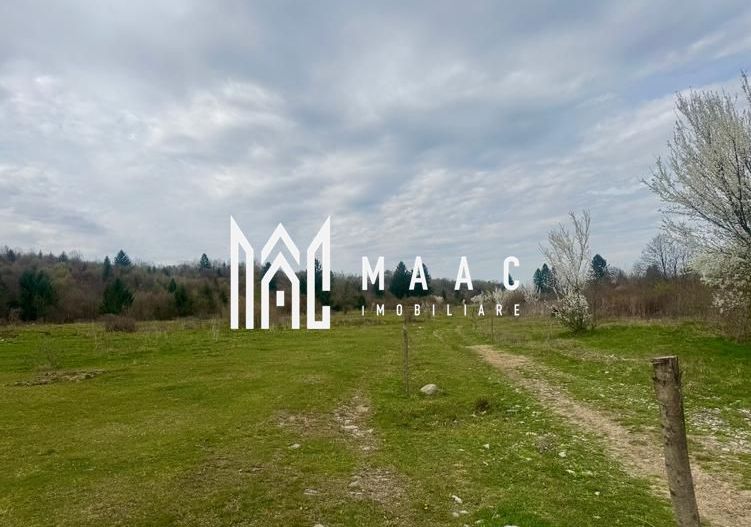 Teren intravilan de vanzare I 1990 mp I Valea Avrigului – lângă Cabana Aris - Poză 1