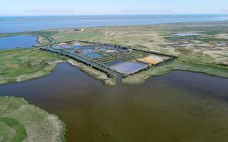 Oportunitate investitie teren Delta Dunarii, pe malul Lacului Histria - Poză 8