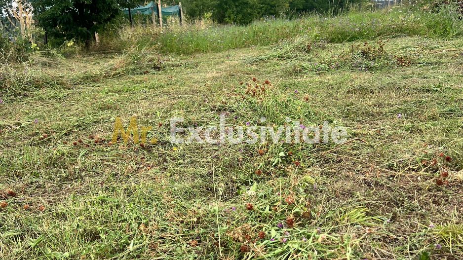 Teren intravilan în Băbana 1575 mp intravilan - Poză 4