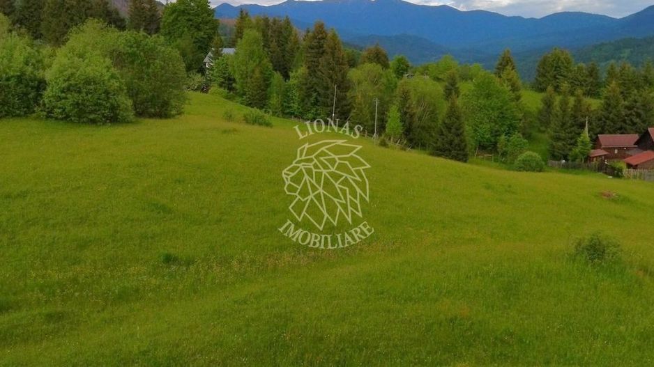 Parcele teren-ideal hotel/cabana-Colibita, Zona Panoramic - Poză 3