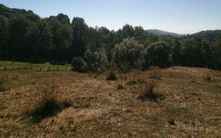 Teren Extravilan 20.000Mp I Stoenești -Vâlcea I Apă Curentă și Pădure - Poză 4