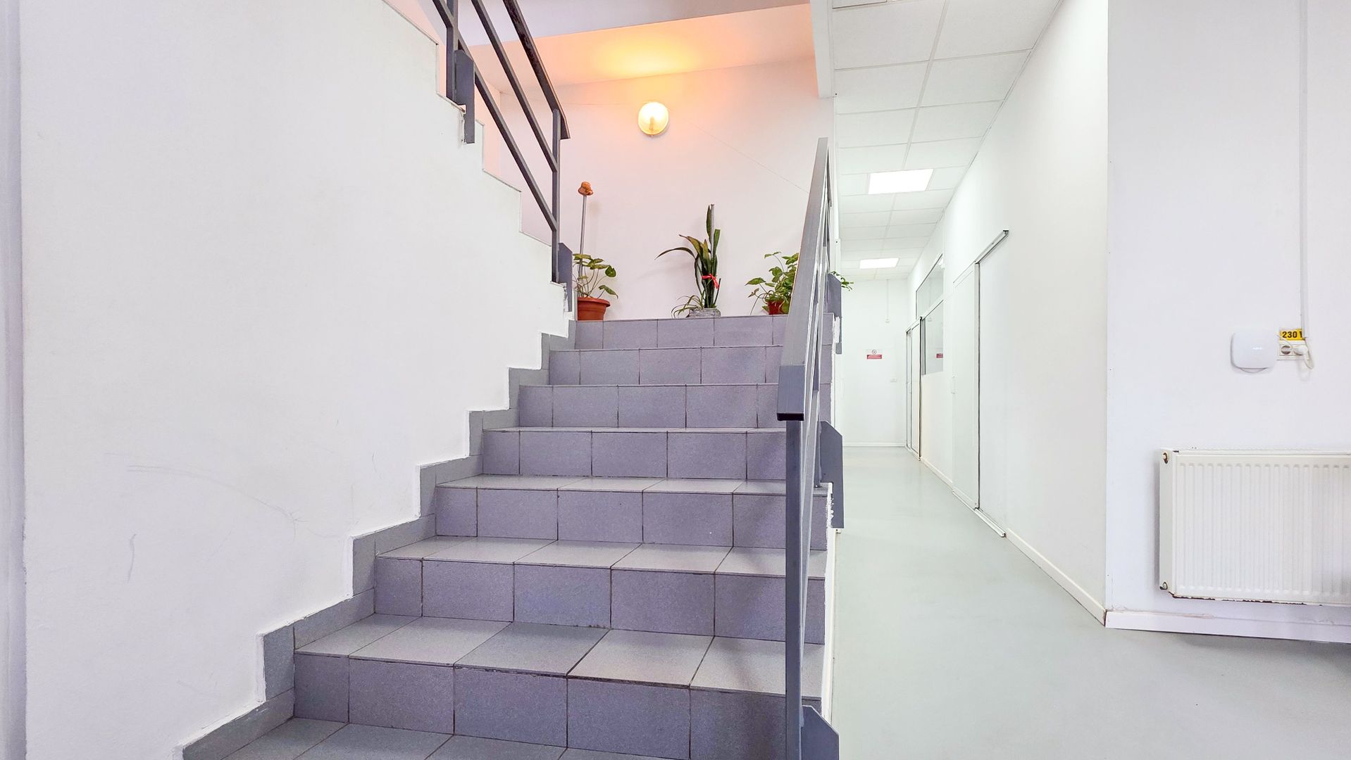 Spațiu industrial–afacere catering la cheie, teren&hală 750 mp S+P+1E - Poză 6