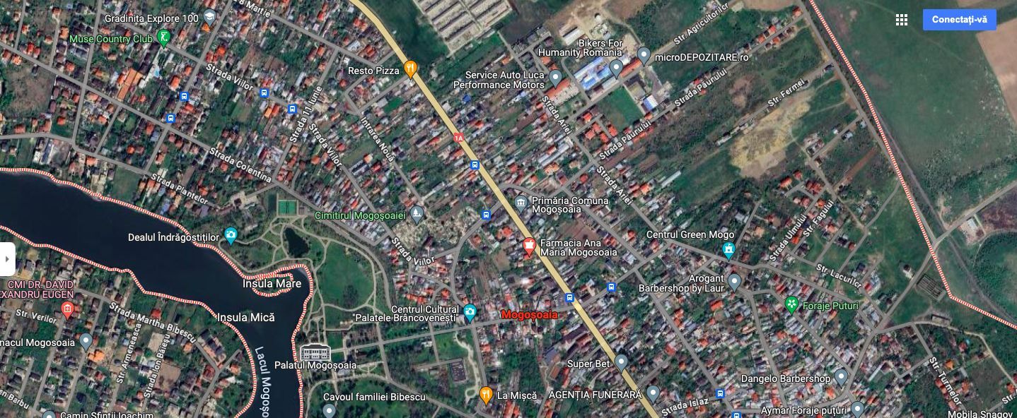 Teren de 4 Hectare în Mogoșoaia – Investiție Strategică cu Potențial Ridicat - Poză 1