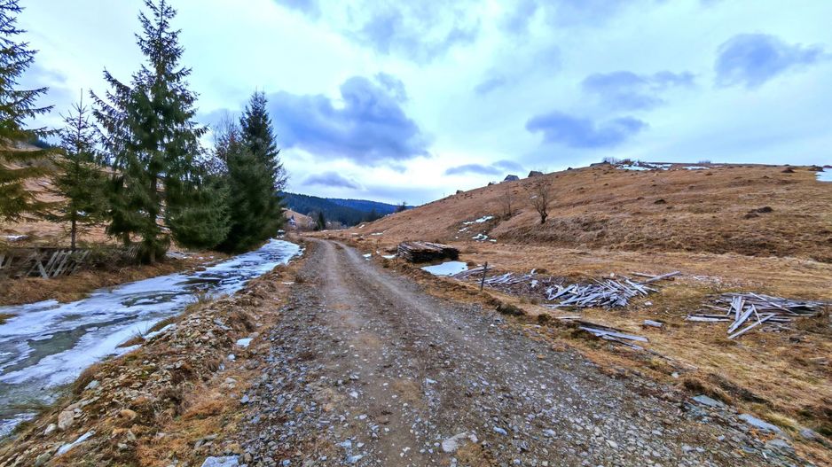 8.263 mp Teren cu Pârâu și Izvoare în Beliș-Fântânele, Cluj - Poză 10