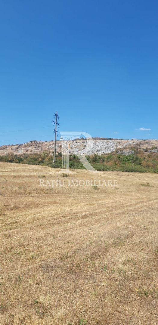 Teren extravilan | Betfia | 7935 Mp | Bihor - Poză 4