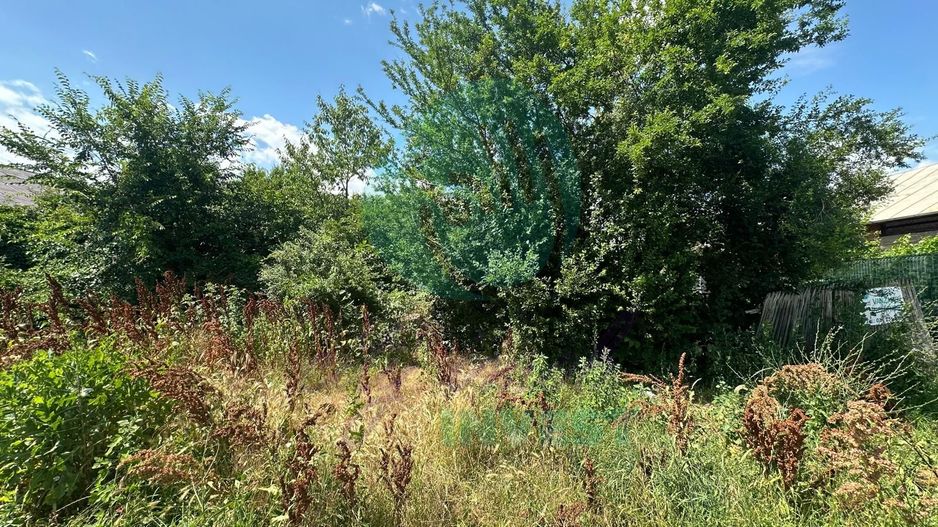 Teren 16534 mp pentru dezvoltare rezidențială, Siliștea Snagovului - Poză 7