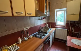 Apartament 2 camere RENOVAT Unirii-Parcul Carol M261A - Poză 12