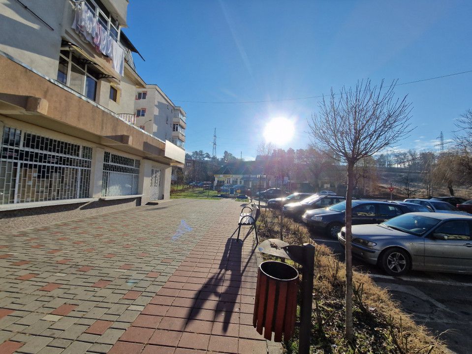 Inchiriere spatiu 170 mp, Mioveni, Robea - Poză 9