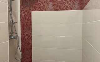 Spatiu de birou/comercial Bd. Independentei - Spiridon - Poză 10