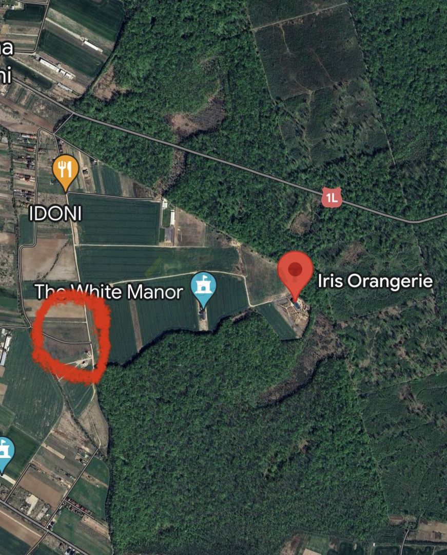 Teren | Poiana Ciolpani | Iris Orangerie - Poză 1