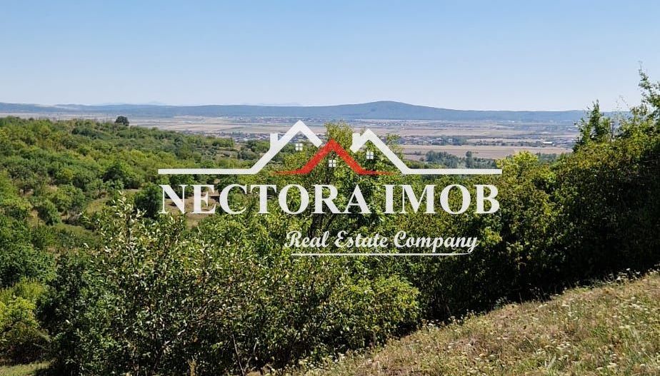 NECTORA IMOB-Teren Zona Podgoria,3400 mp (Intravilan + Extravilan) - Poză 1
