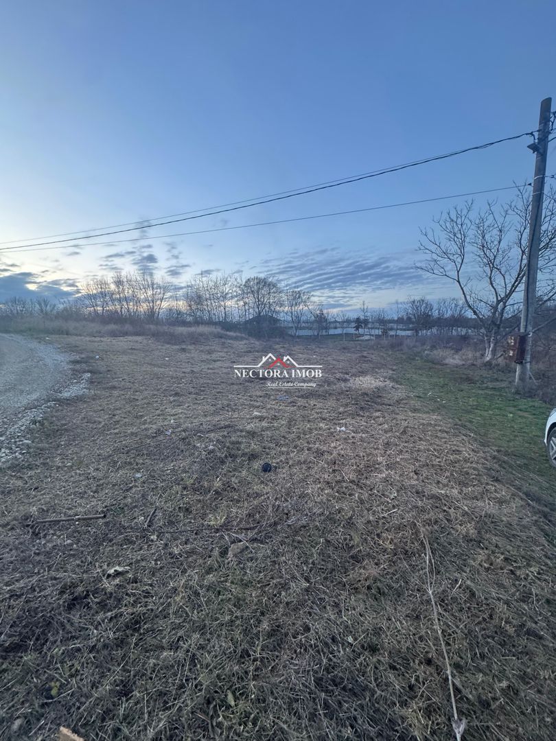 NECTORA IMOB-Teren Intravilan 647 mp, Dublu Front, Paleu, cu Utilitati - Poză 5