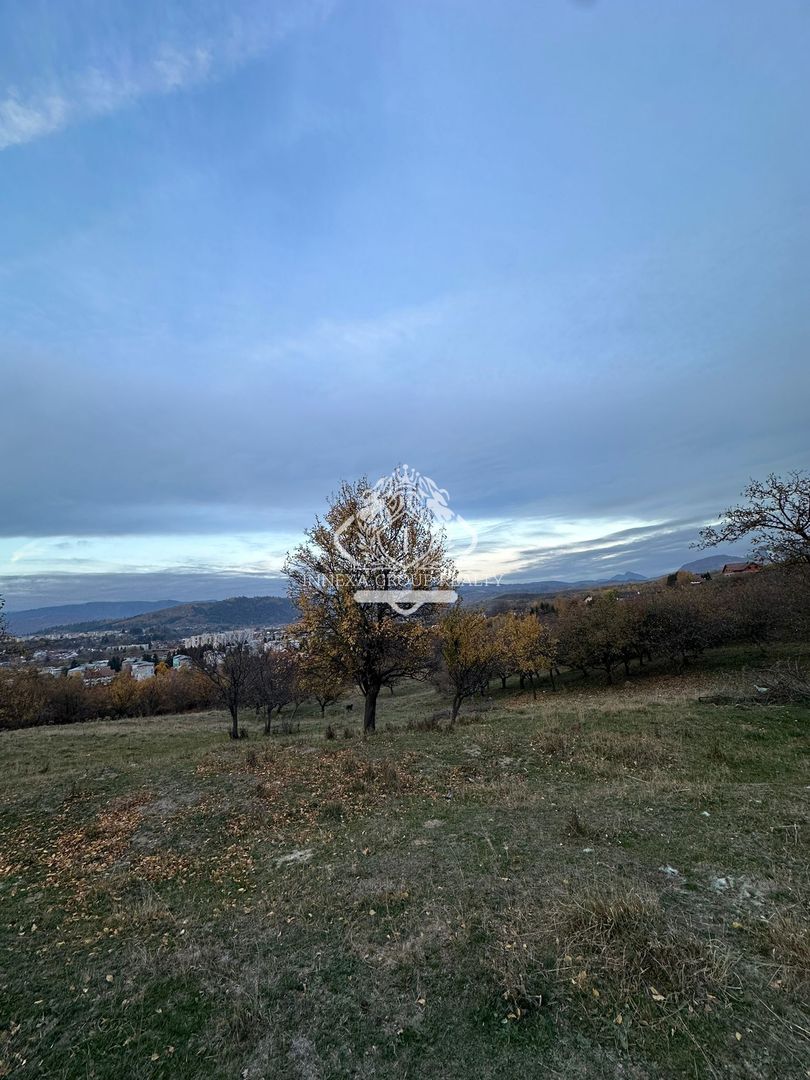 Teren 7199mp Intravilan cu Vedere Panoramica Superbă, Ideal Investitie - Poză 14
