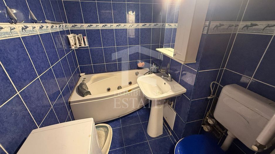 Apartament 3 camere Lacul Tei Teiul Doamnei - Poză 10