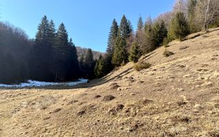 Teren intravilan langa Poiana Brașov, 52 mp front strdal, Utilitati in zona - Poză 6