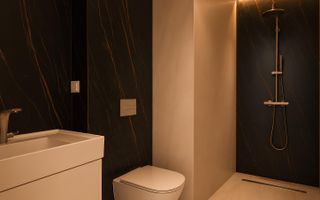 Luxury Penthouse | UP-site Floreasca I Lake view - Poză 8