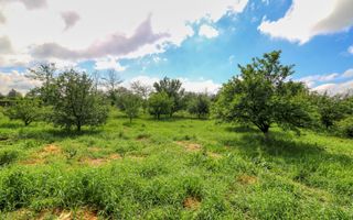 Oportunitate - Casă boierească  de poveste- 7000 mp teren - Poză 81