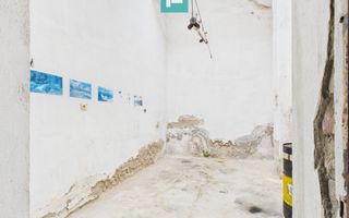 Hala 120 mp pentru depozitare în Periam - Poză 3