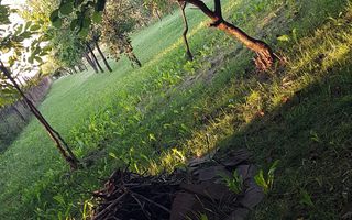 BRASADAS vinde casa individuala in zona Aurel Vlaicu. - Poză 24