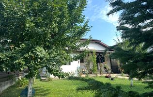 Casa 4 camere Samurcasi