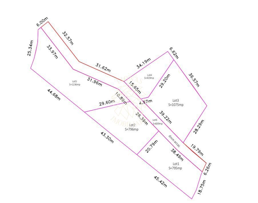 Teren intravilan 3039 mp-Parcelabil-ponton-Colibita Exclusiv - Poză 8