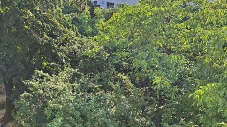 AP. 3 CAMERE PACII, BUCATARIE INCHISA, MODERN, METROU 10 MINUTE - Poză 8