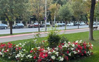 Apartament 2 camere decomandat Copou Gaudeamus - Poză 2