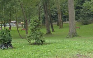 Teren intravilan de vânzare | Caciulata | 1.176 mp - Poză 3