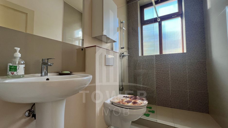 Apartament 3 camere la casă, curte proprie, Parcul Sub Arini - Poză 7