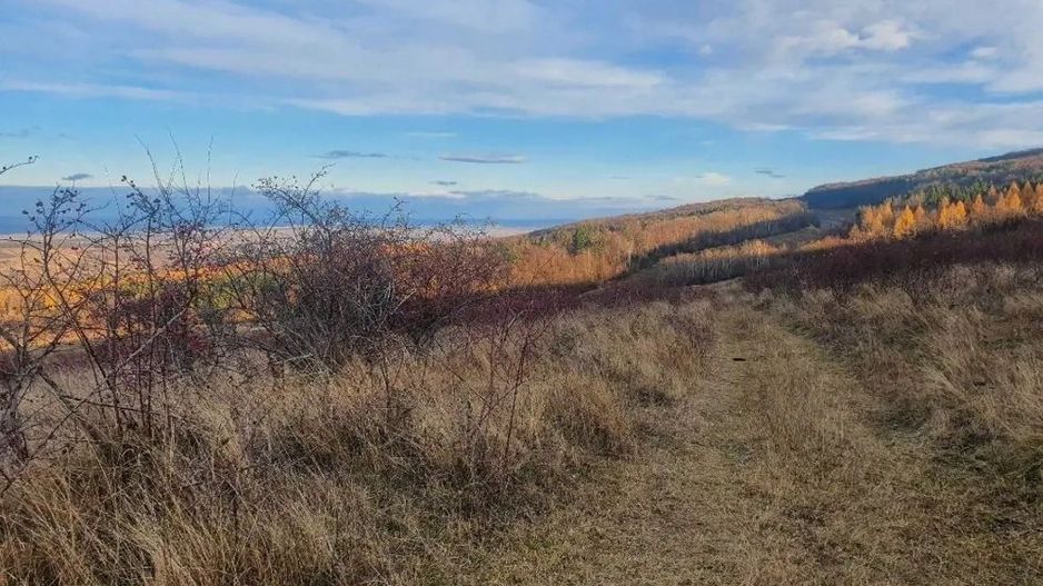 Teren Feleacu între pârtie  i centură 706 mp - Poză 4