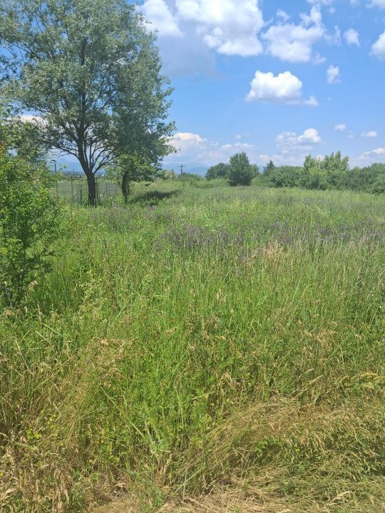 Teren extravilan 2.500 mp | Str. Ana Ipătescu, Târgu Jiu  - Poză 2