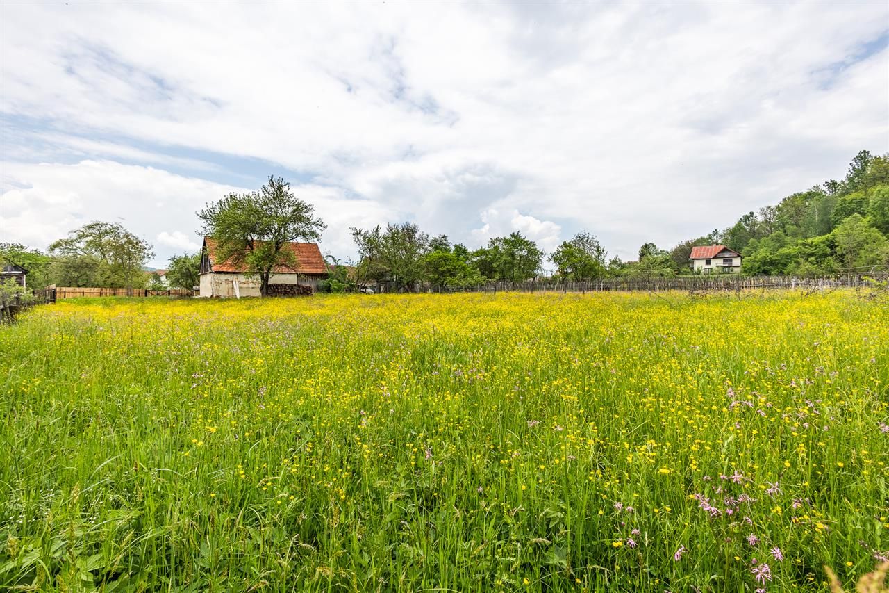 Casa traditionala + 8.500 mp teren, intravilan, Sinca Noua, Brasov - Poză 19