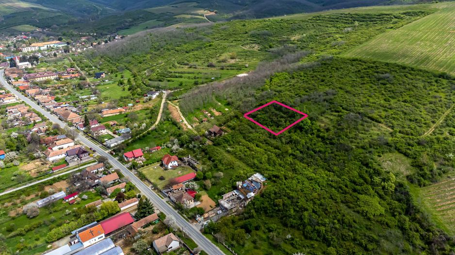 4.300 mp teren pe deal împădurit la Miniș - Poză 3