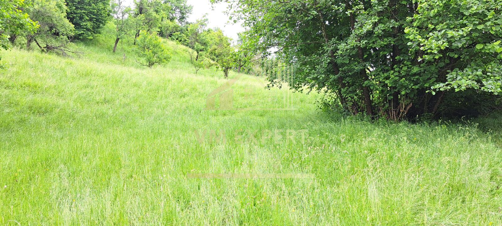 TEREN INTRAVILAN 2500 MP, BUGHEA DE JOS - Poză 3