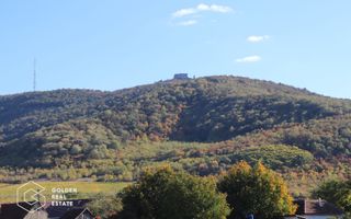 Casa in centrul localitatii Galsa - LINISTE LA TINE ACASA - COMISION ZERO - Poză 12