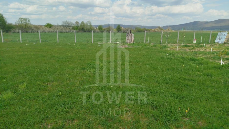 Grădină 862 mp cu cabanuta și pomi fructiferi – între Tălmaciu și Sadu - Poză 12