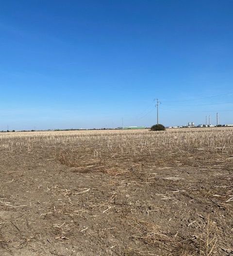 Teren agricol în Zona Sagului - Poză 10