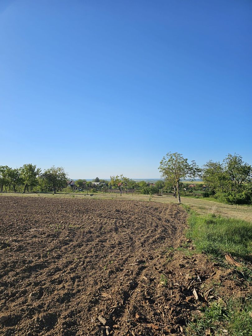 Teren intravilan Cetariu 5000 mp - Poză 2