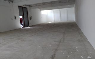 Hală de închiriat, Tomesti, cu acces direct din strada principală - Poză 8