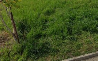 Teren intravilan - Poză 4