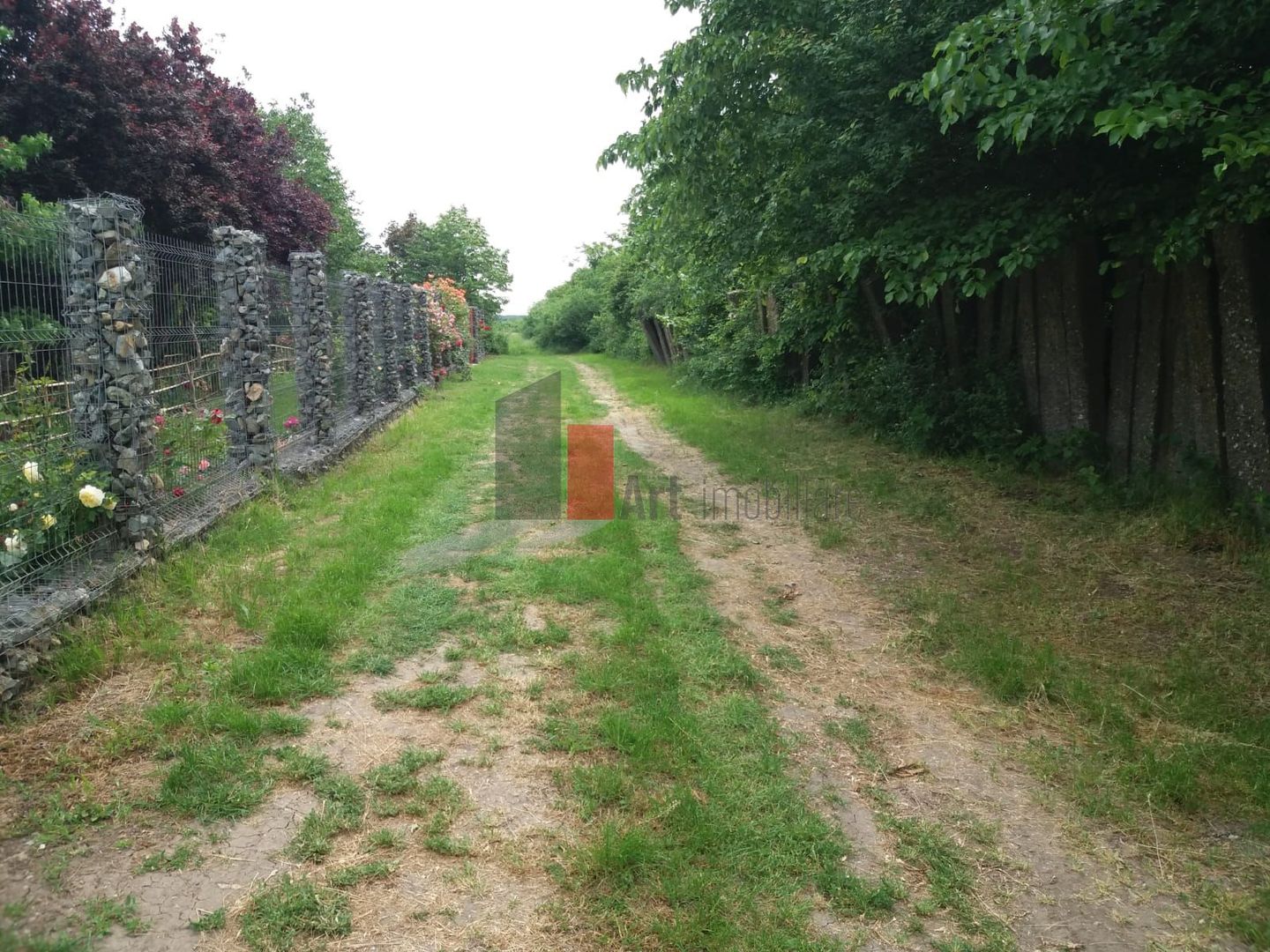 Teren Buftea cu iesire la lac - Poză 9