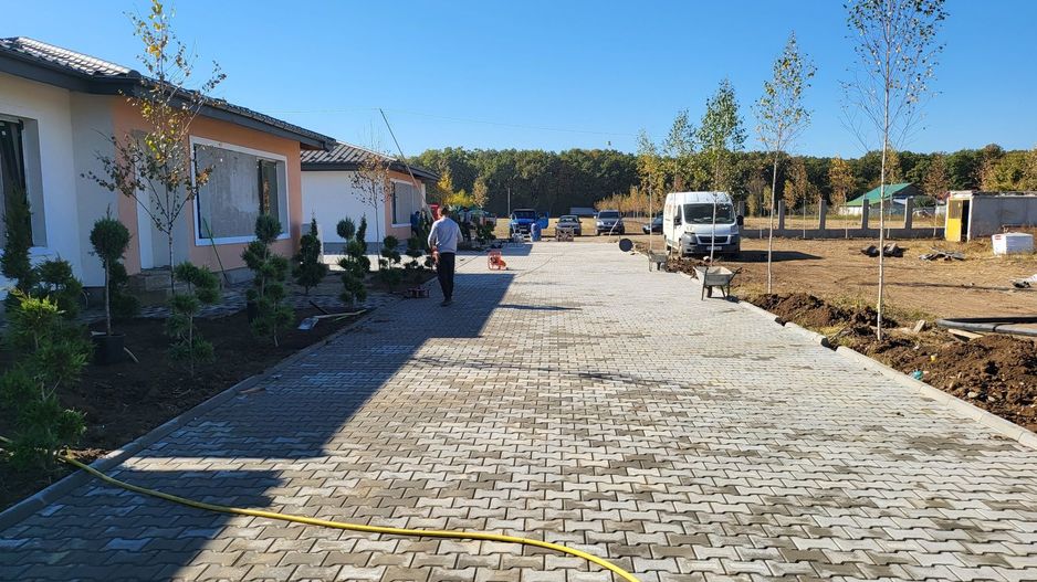 Moara Vlasiei | Padurea Branzeasca - Poză 2