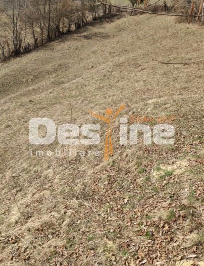 Teren 5000 mp, ideal cabana, pensiune,  in zona de interes  turistic  Rucar-Bran - Poză 7